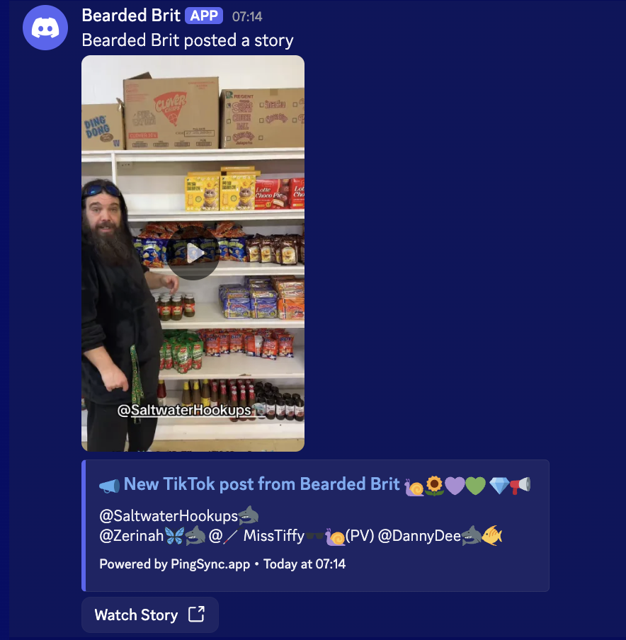 TikTok story notification sent by PingSync in Discord